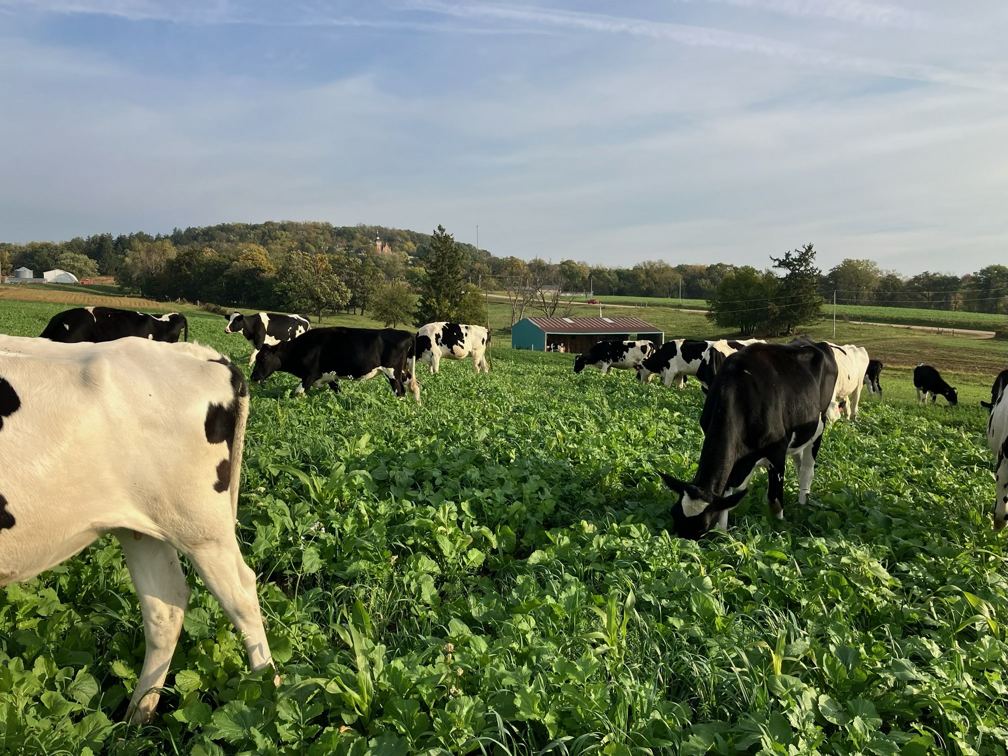 Pop-Up Field Day to Focus on Living Roots